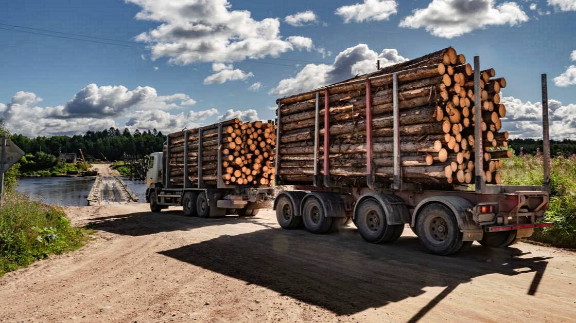Красноярских чиновников уличили в преступной передаче лесных земель у озера
