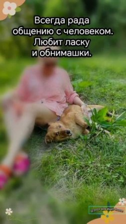 Милота в семью