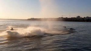 Ижевский пруд сентябрь 2024