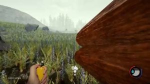 The Forest  но у меня в рюкзаке друг!