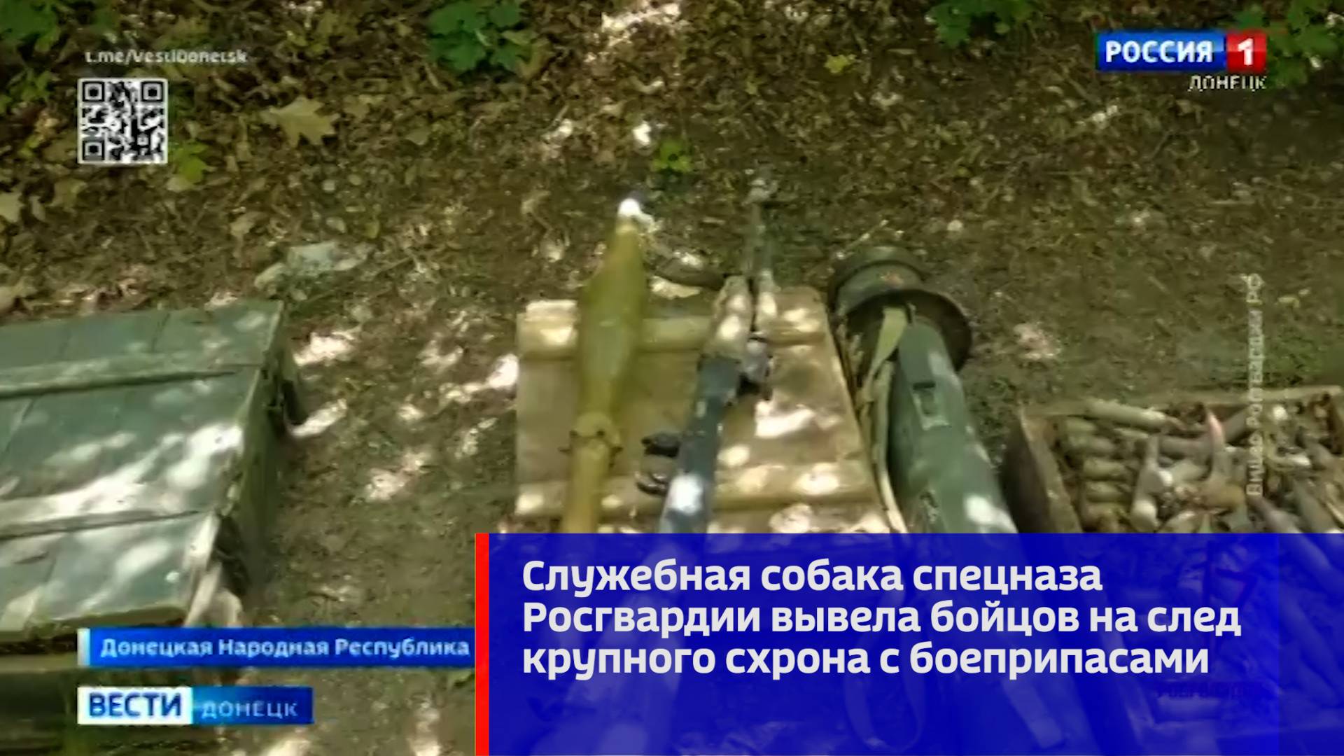 Служебная собака спецназа Росгвардии вывела бойцов на след крупного схрона с боеприпасами