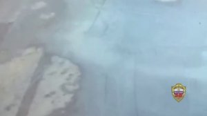 Оперативники района Соколиная гора задержали подозреваемого в краже портмоне