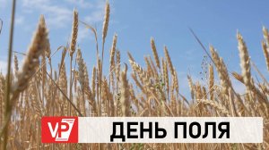 В ВОЛГОГРАДЕ ПРОШЕЛ РЕГИОНАЛЬНЫЙ ДЕНЬ ПОЛЯ