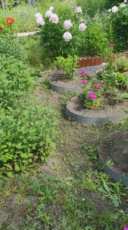 Прошлогодняя дорожка и новые клумбы из бордюрной ленты
