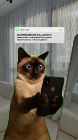 Учебники и самоучители не дают результата‼️
