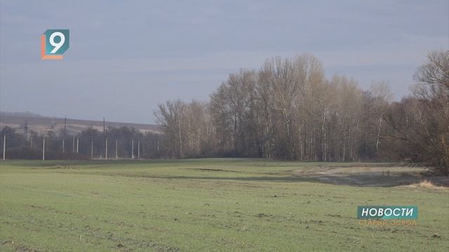 Две оскольчанки подозреваются в хищении ячменя