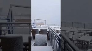Вы такого ещё не видели