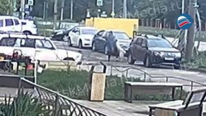 Жуткие кадры нападения огромного алабая на девушку с 2 маленькими собаками в Липецке