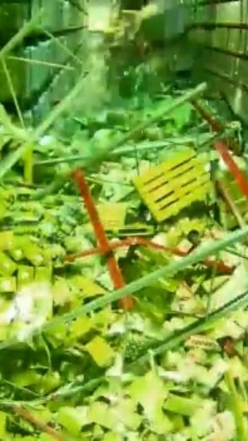 Внимание! Стеллажи падают смотреть онлайн