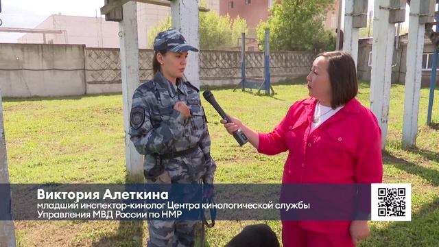 Нижнекамские кинологи и их четвероногие напарники отмечают профессиональный праздник