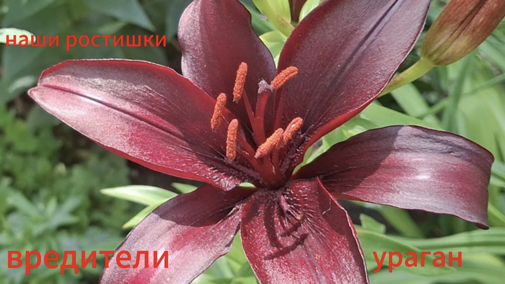 Переезд из Сибири на юг. Купили дом на юге. Наслаждаемся южной жизнью. 💖5серия