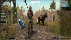 Elder Scrolls Online