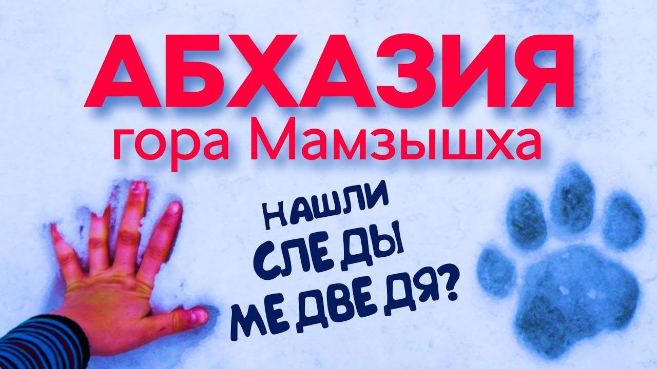 МАМЗЫШХА АБХАЗИЯ 😱 НАШЛИ СЛЕДЫ МЕДВЕДЯ АБХАЗИЯ ГАГРА гора Мамзышха