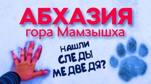 МАМЗЫШХА АБХАЗИЯ 😱 НАШЛИ СЛЕДЫ МЕДВЕДЯ АБХАЗИЯ ГАГРА гора Мамзышха