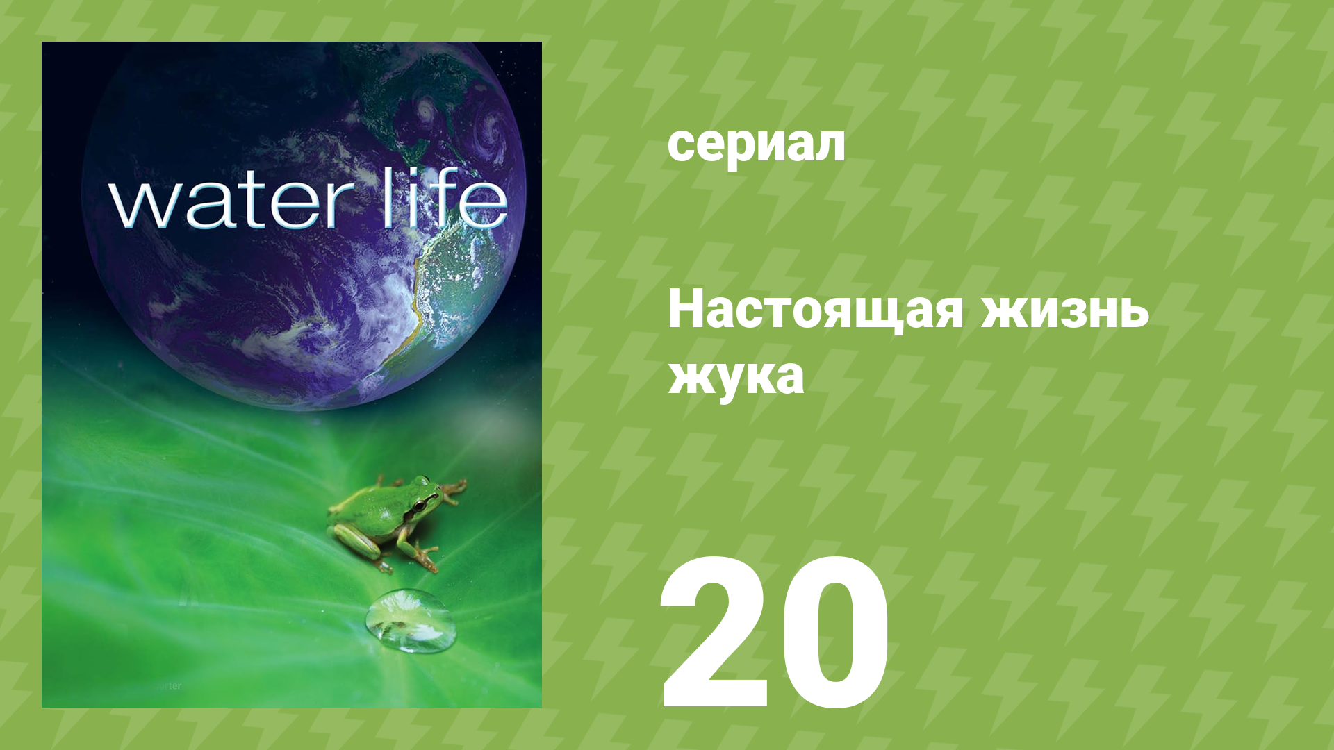 Водная жизнь 20 серия «У побережья» (документальный сериал, 2009)