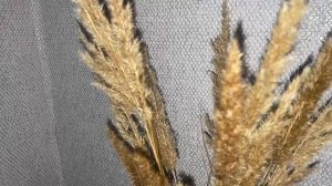 Красивое рядом