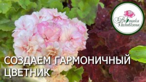 КАК СОЗДАТЬ ЦВЕТНИК