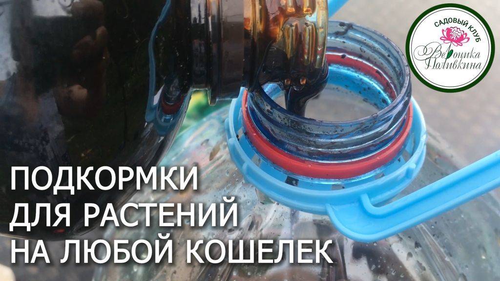 ПОДКОРМКИ ДЛЯ РАСТЕНИЙ НА ЛЮБОЙ КОШЕЛЕК