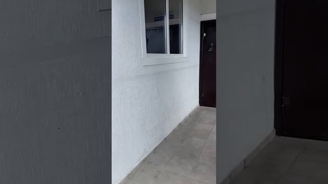 WhatsApp Video 2025-06-20 at 12.32.55