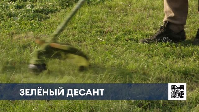 Нижнекамские студенты привели в порядок городские газоны