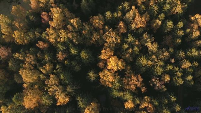 Этот клип - сама любовь, без него мир тускнеет! - Al Final -- Danke Sun -- Movimiento