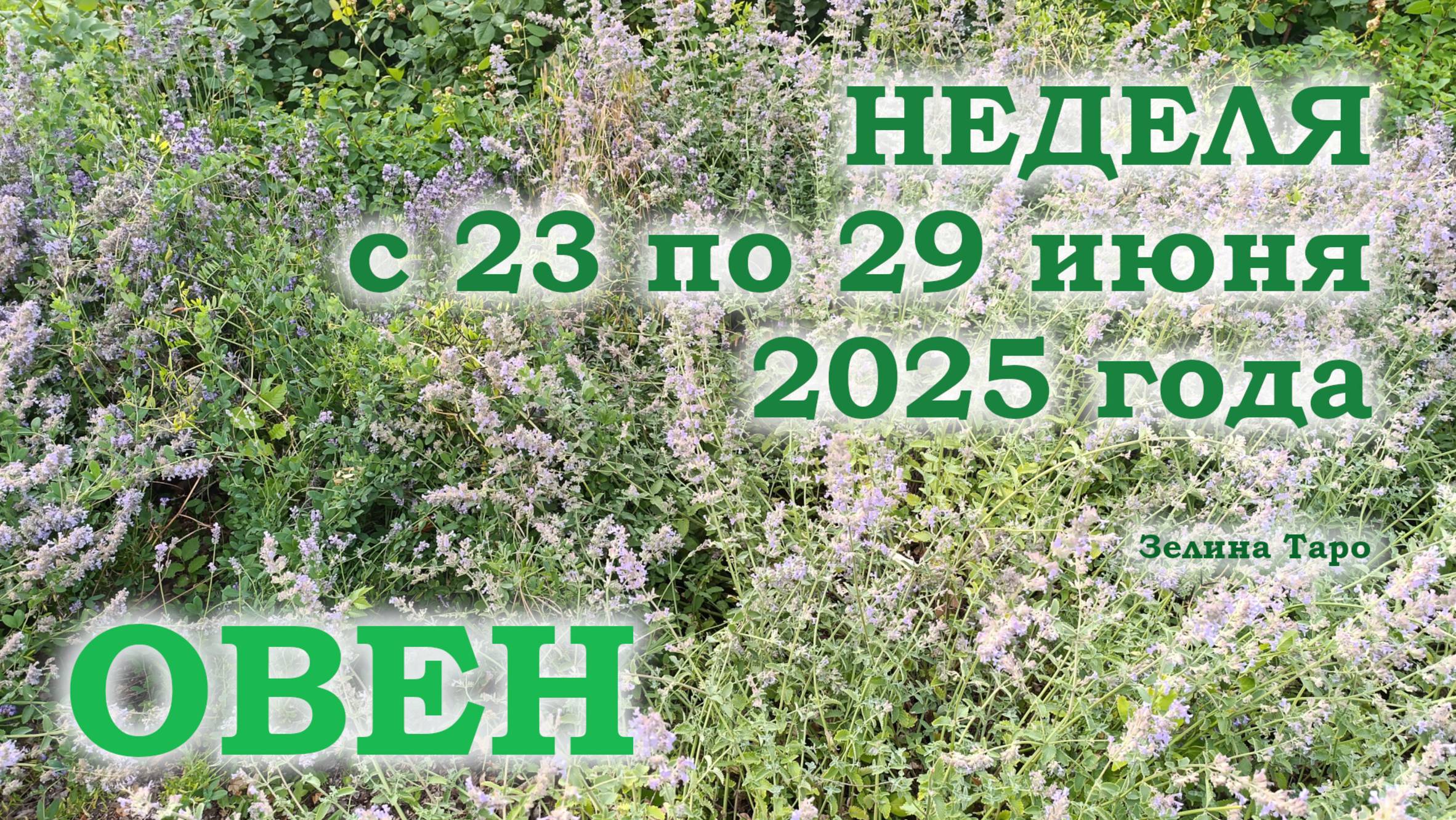 ОВЕН | ТАРО прогноз на неделю с 23 по 29 июня 2025 года