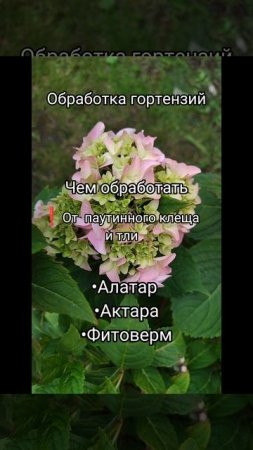 1000062154.mp4