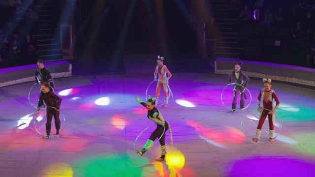 КГБУ ДО ДЦШ - Веселая арена - Игра с хуло хупами - Кошки