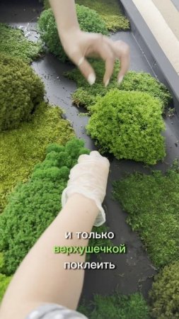 Процесс создания картины из мха разной фактуры