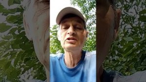 Почему  проблемы не решаются или решаются медленно и не всегда эффективно.