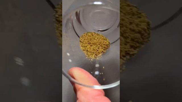 Avocado Scraps = Magic for Skin! creative explained