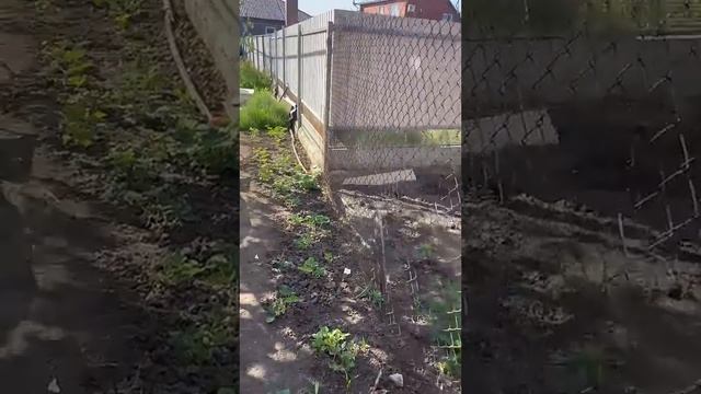 Второй день на новом объекте #самостройщик