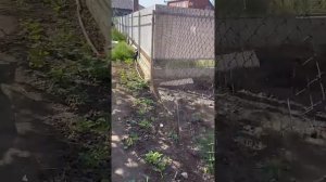 Второй день на новом объекте #самостройщик