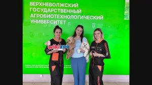 Легенды груминга в Иваново: грандиозный мастер-класс от чемпионов России!