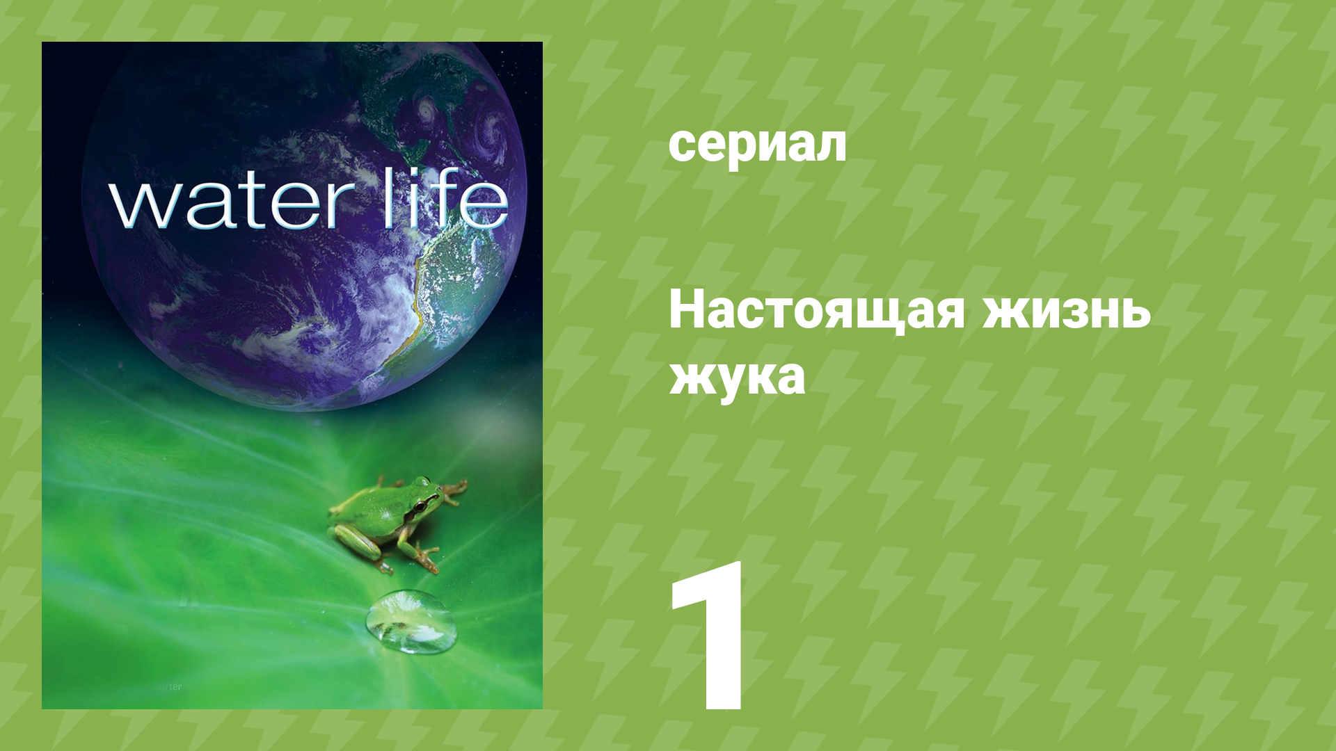 Водная жизнь 1 серия «Мир воды» (документальный сериал, 2009)