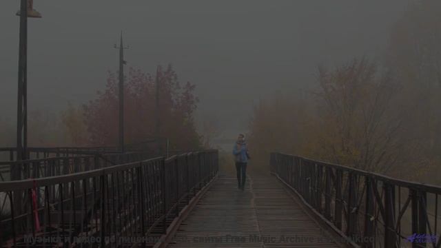 Леса вибрируют вместе с этим невероятным ритмом - The Gallery (Now!) -- Krestovsky -- Song of the Mo