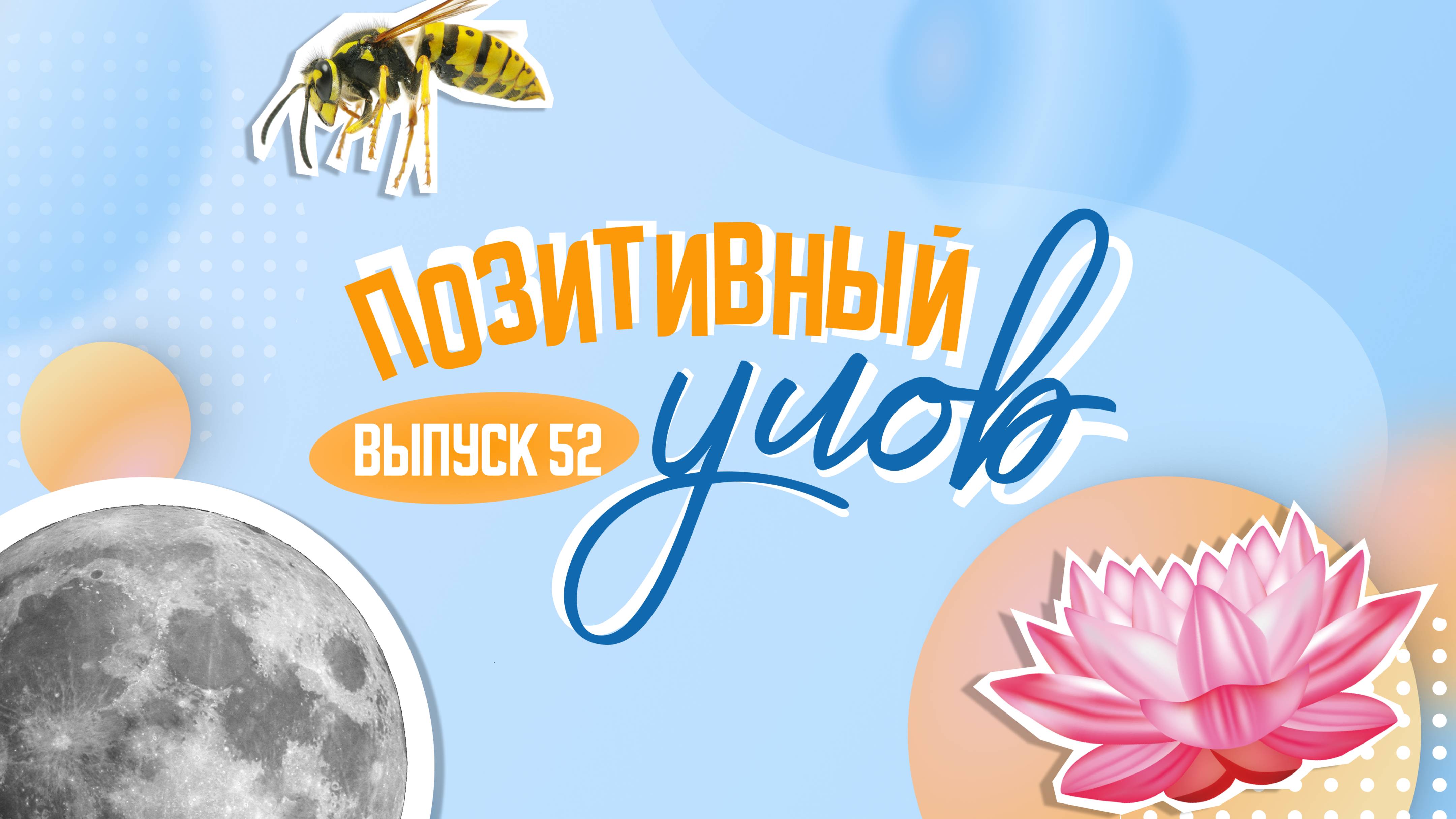 Атомная станция на луне и кукуха-психиатр. "Позитивный улов"