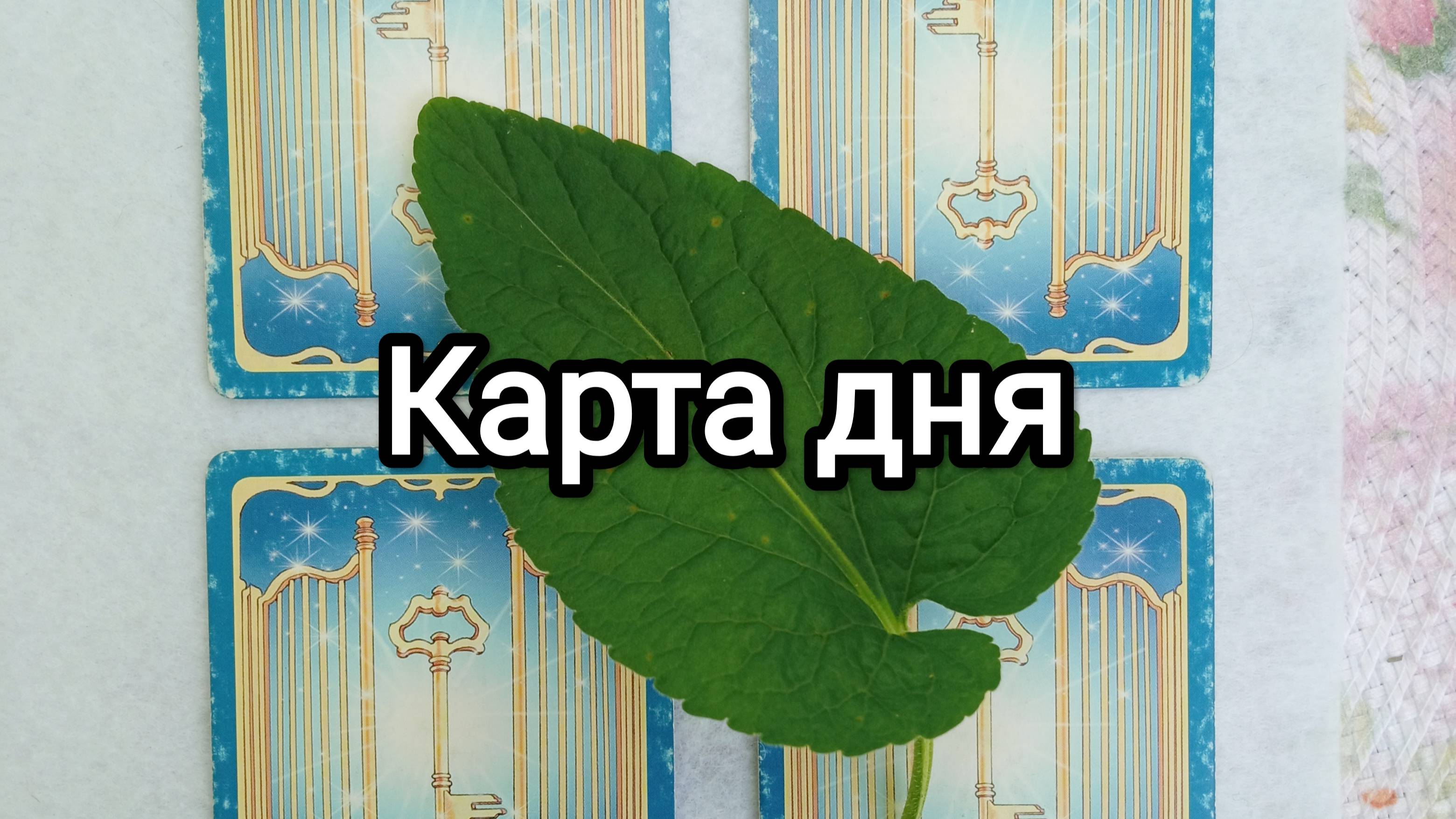 Карта дня