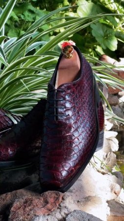 Цельнокройнынче оксфорды из кожи питона🐍