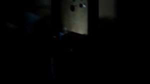 1000188154.mp4