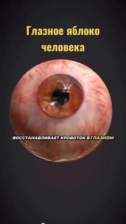 Советский метод для зрения