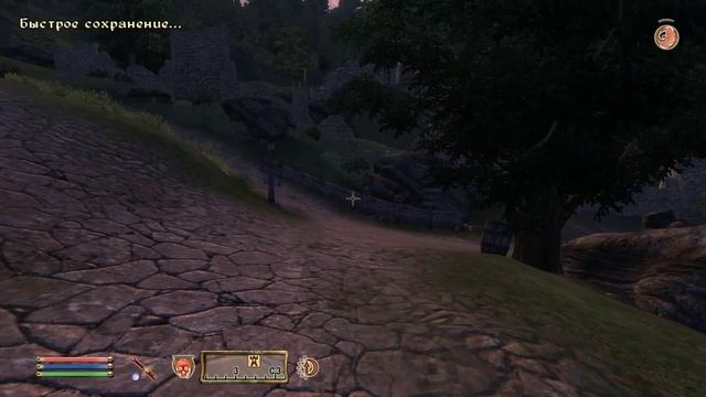 The Elder Scrolls IV (МС) часть 22