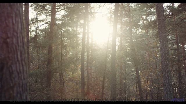 Ваши уши скажут вам спасибо! - Impulse -- Ketsa -- Metaphysics