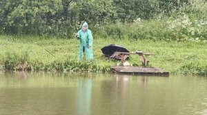 Светлые Горы Сом обрыв 20.06.2025г