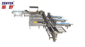 Zenyer 109 egg grader with auto vacuum loader 27000 eggs/hour