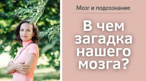 В чем загадка нашего мозга?