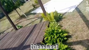 Десять дней у Мяты