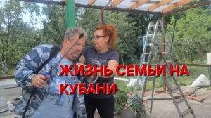 551 🏠 Жизнь в станице на юге. Спасаем урожай . Ураганный ветер.