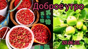 #доброе утро 20-06-2025 #прогулка #поговорим #жизнь инвалида