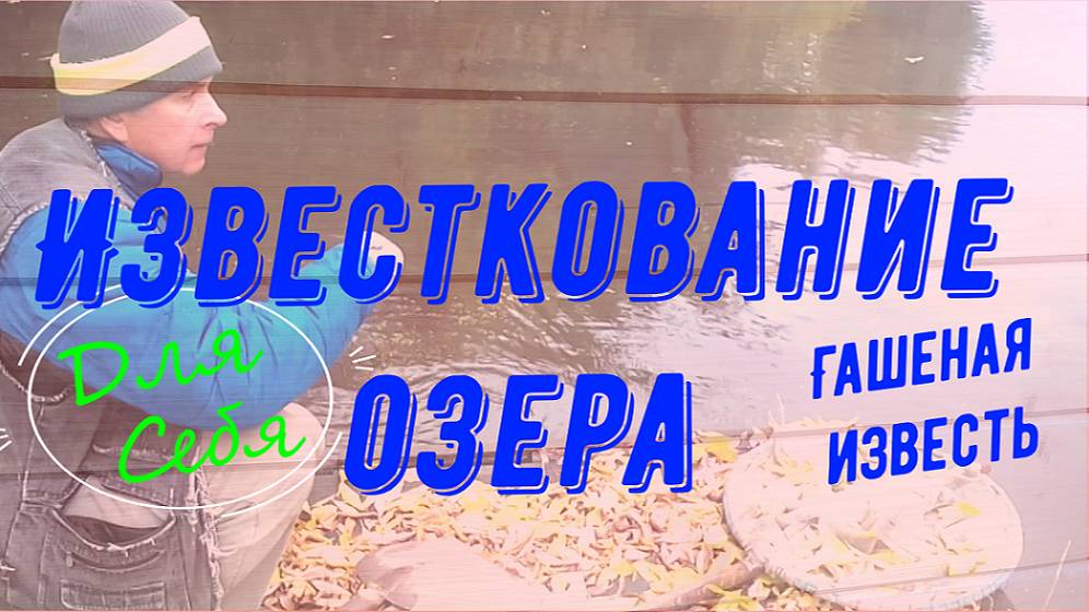 Известкование водоёма Обработка пруда известью своими руками Известь для водоема